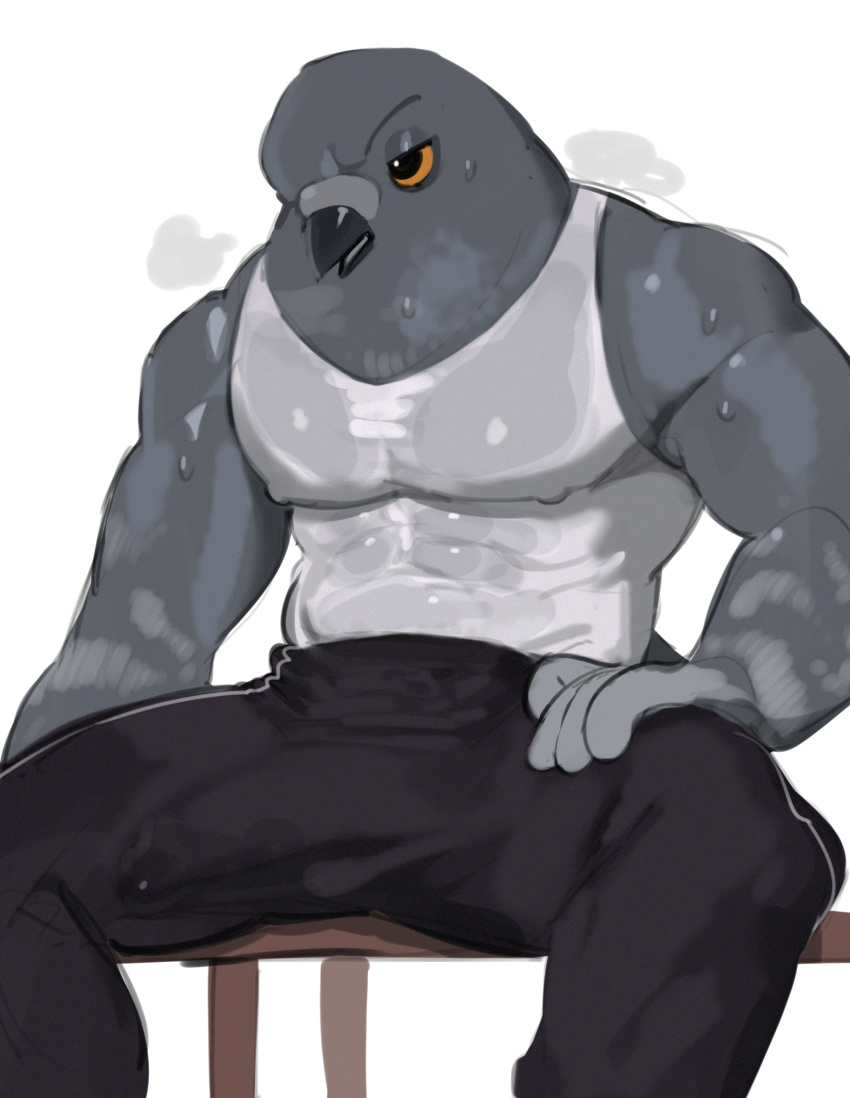 2024 abs absurd_res anthro avian biped bird bottomwear bulge clothed clothing columbid detailed_bulge digital_drawing_(artwork) digital_media_(artwork) erection erection_under_clothing hi_res kogito male muscular muscular_anthro muscular_male pants pigeon shirt sitting solo tank_top topwear