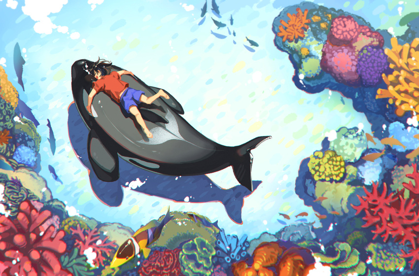 1boy air_bubble animal barefoot black_hair blue_shorts bubble closed_eyes coral coral_reef fish hi-fi_(fijazzy) male_focus open_mouth orca original red_shirt riding shirt short_sleeves shorts underwater