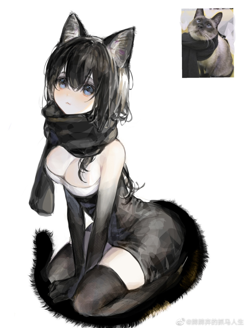 1girl :3 animal_ears between_legs black_dress black_hair black_scarf black_skin black_thighhighs blue_eyes breasts cat_ears cat_girl cat_tail chinese_commentary cleavage colored_skin commentary_request dress from_above full_body gradient_skin hair_between_eyes hand_between_legs highres looking_up multicolored_skin original own_hands_together photo_inset qiqiqiqi reference_inset scarf seiza short_hair simple_background sitting solo strapless strapless_dress tail thighhighs two-tone_skin v_arms weibo_logo weibo_username white_background