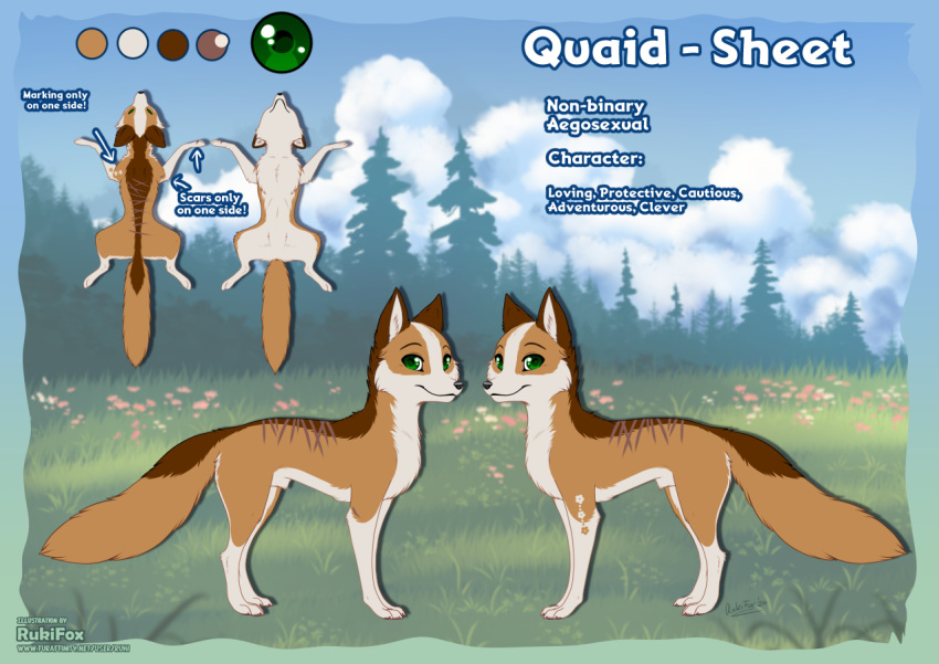 all_fours animal_genitalia belly brown_body brown_fur canid canine feral forest fox fully_sheathed fur genitals green_eyes male mammal model_sheet plant quaid_(rukifox) rukifox scar sheath solo tree white_belly