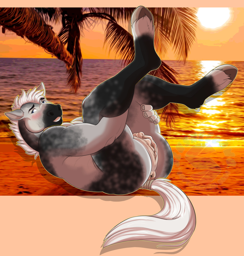 andromorph anthro anus beach blush butt equid equine fur genitals grey_body grey_fur hair hi_res hooves horse intersex legs_up long_labia lying mammal mottled mottled_body mottled_fur nude on_back presenting presenting_hindquarters pussy sea slushee. solo sunset water white_hair