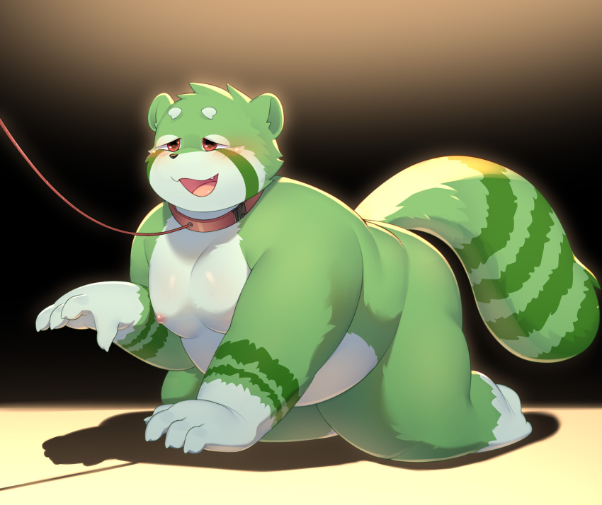 2024 absurd_res ailurid all_fours anthro badcat belly blush butt collar green_body hi_res humanoid_hands kemono leash male mammal moobs nipples overweight overweight_male red_panda solo tolild white_body