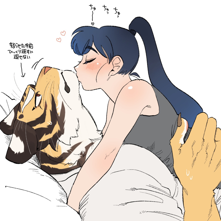 1boy 1girl animal_ears blue_eyes blue_hair body_fur brown_eyes brown_fur closed_eyes closed_mouth commentary_request furry furry_male furry_with_non-furry grey_tank_top hetero highres hug interspecies kiss long_hair looking_up loving_aura lying lying_on_person on_back on_stomach orange_fur original pillow ponytail rata_(norahasu) shirt short_sleeves simple_background tank_top tiger_boy tiger_ears translation_request upper_body whiskers white_background white_shirt