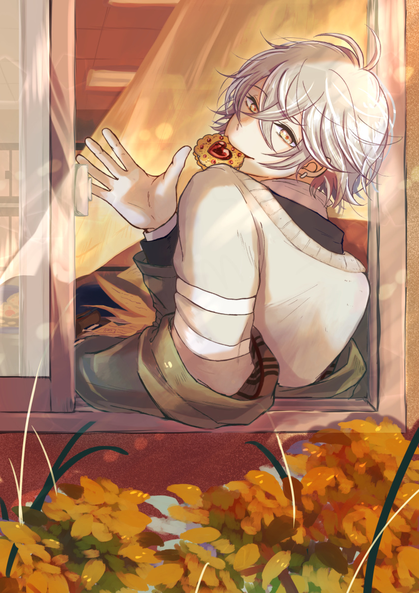 1boy autumn black_shirt cookie crossed_bangs curtains earrings flower food food_in_mouth from_behind from_outside grey_sweater hair_between_eyes highres ishihara_usumi jewelry long_bangs long_sleeves looking_at_viewer looking_back mahjong_soul male_focus messy_hair open_mouth open_window orange_flower shirt short_hair smile solo sweater tami-chan-san thumbprint_cookie upper_body waving white_hair window yellow_eyes