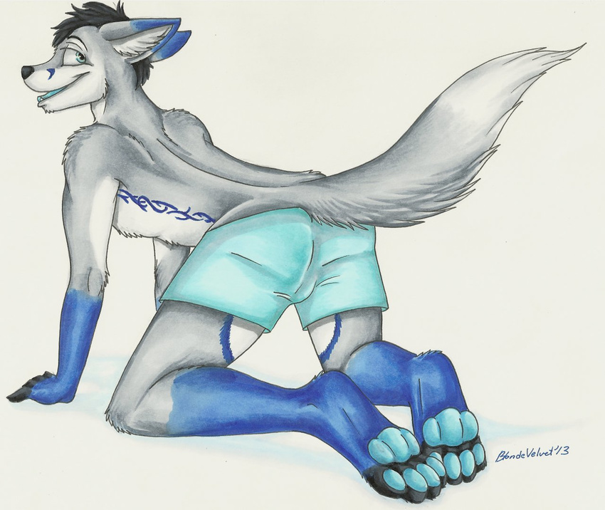 anthro blondevelvet boxers briefs butt clothing darkfawks foyote hair hindpaw male markings paws plain_background signature smile solo tongue tongue_out underwear