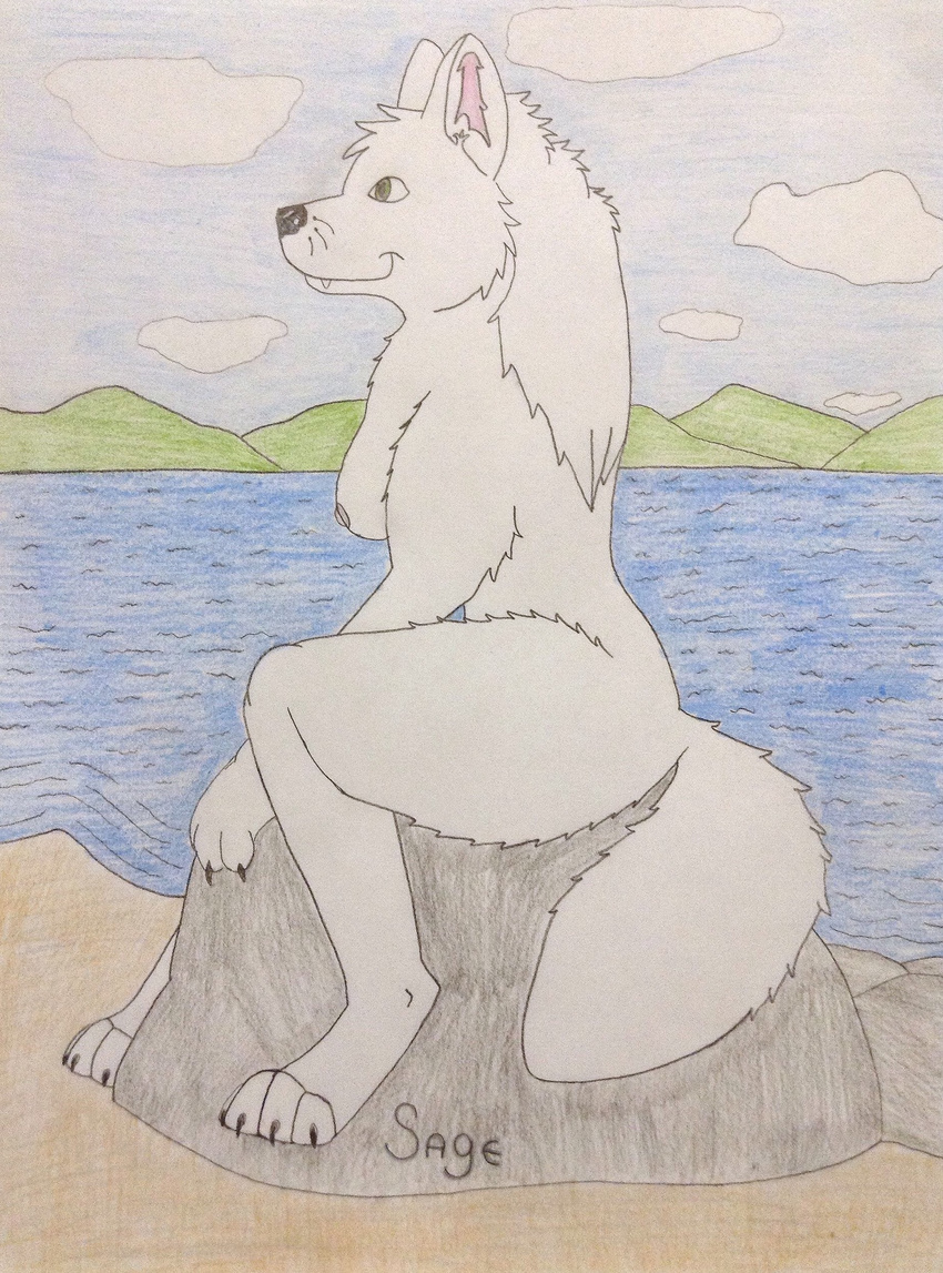 anthro avalanchewolf breasts canine female mammal nipples nude sage sitting solo wolf