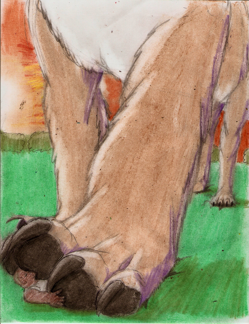 ambiguous_gender anthro boca bushes canine dog duo feral foot_focus grass macro mammal micro sunset traditional_media_(artwork)