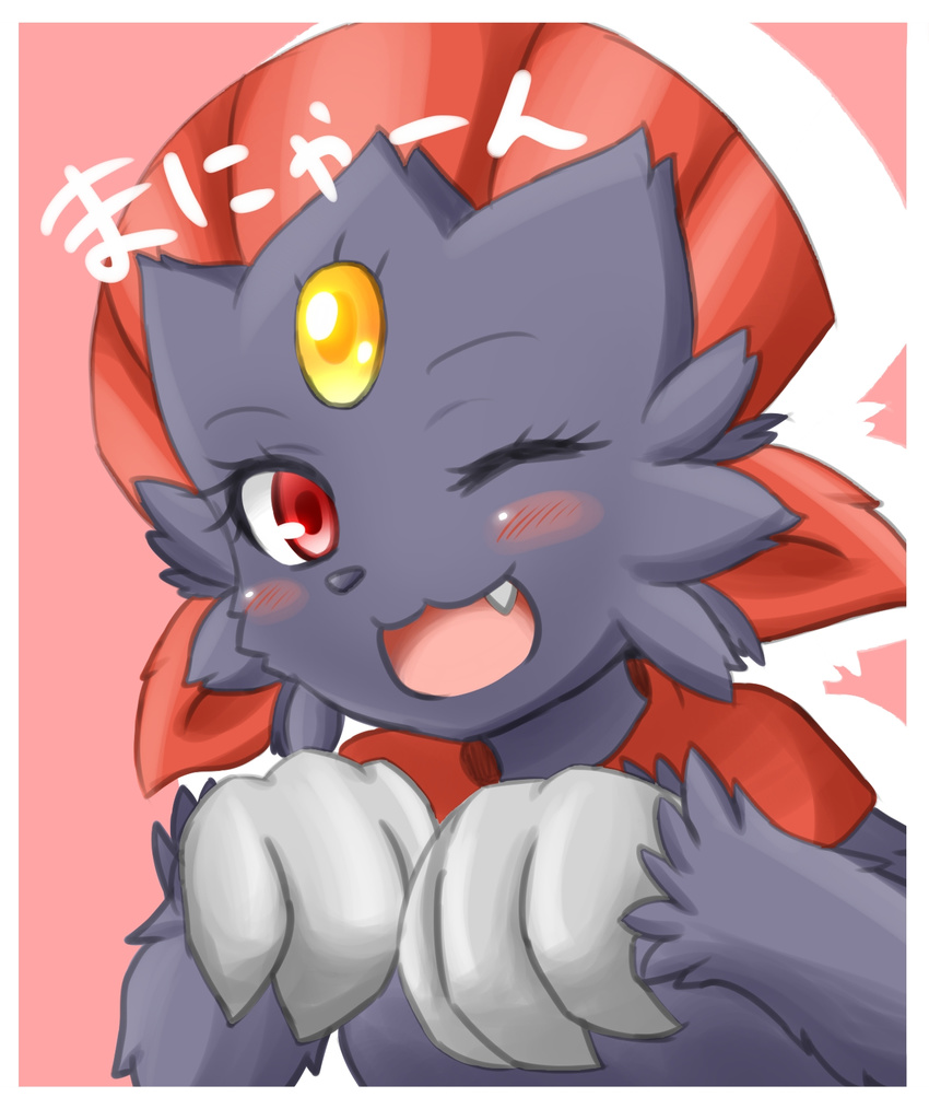 blue_fur blush canine character_request female fur ion-27 japanese_text kemono mammal nintendo one_eye_closed open_mouth pok&eacute;mon red_eyes smile solo text video_games weavile wink
