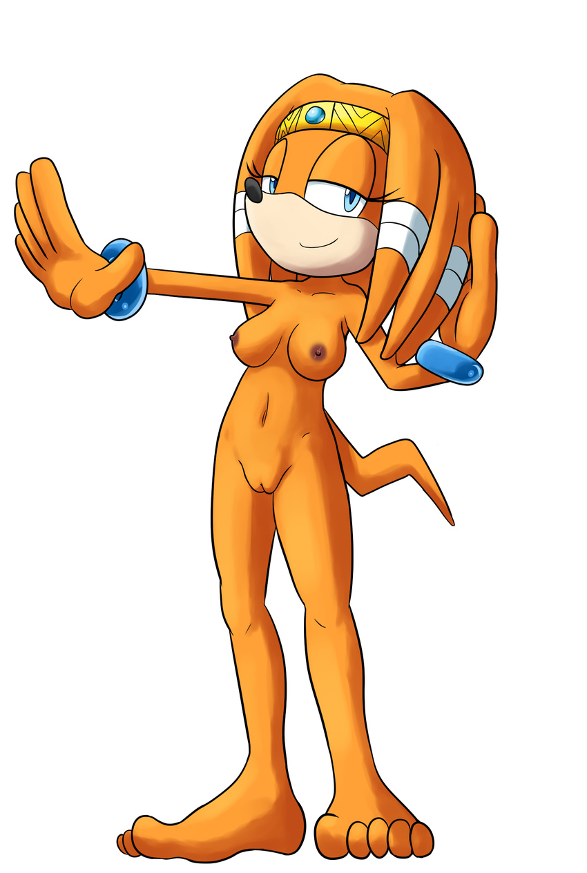 anthro blue_eyes breasts echidna female goshaag hair looking_at_viewer mammal monotreme nipples nude pussy sega smile solo sonic_(series) tikal_the_echidna video_games