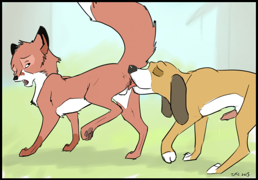 2015 anal animal_genitalia balls canine_penis copper cum digital_media_(artwork) duo eyes_closed feral feral_on_feral fox_and_the_hound from_behind gay looking_back male one_eye_closed oral penis raised_tail rimming sex tod tuke