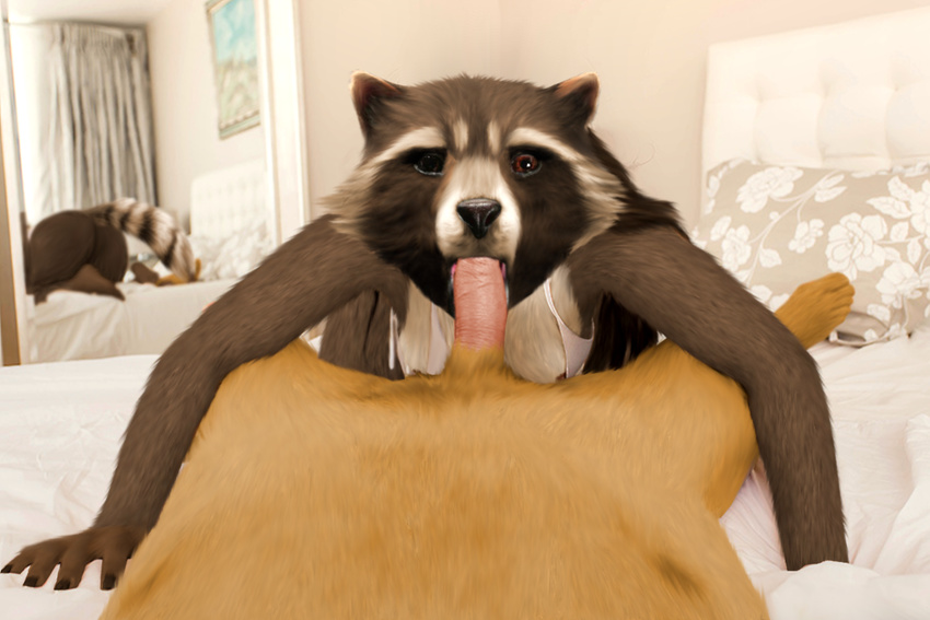 anthro anthrofied big_butt breasts butt crossgender duo edit fellatio female first_person_view guardians_of_the_galaxy lylla mammal mirror oral oystercatcher7 penis photo_manipulation photomorph raccoon rocket_raccoon sex what