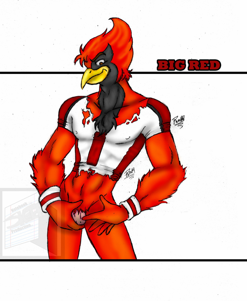 2014 anthro cardinal clothing jersey male model muscles nfl penis pose rcc2002 red_cardinal shirt solo standing torn_clothing torn_shirt wristband