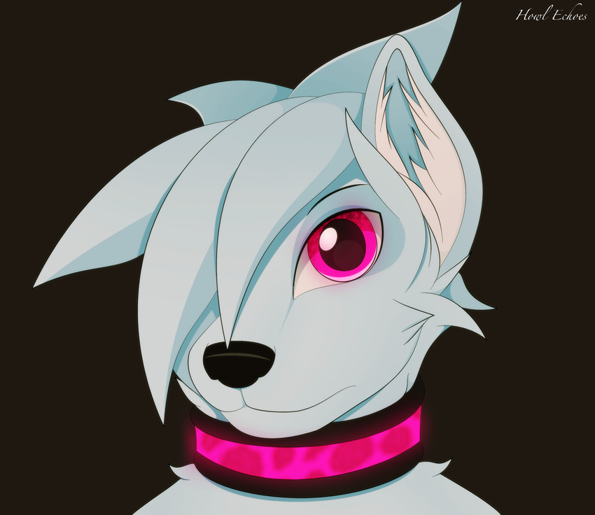 ambiguous_gender anthro black_nose blue_fur canine collar dog fur hair hair_over_eye howl_echoes mammal pink_eyes