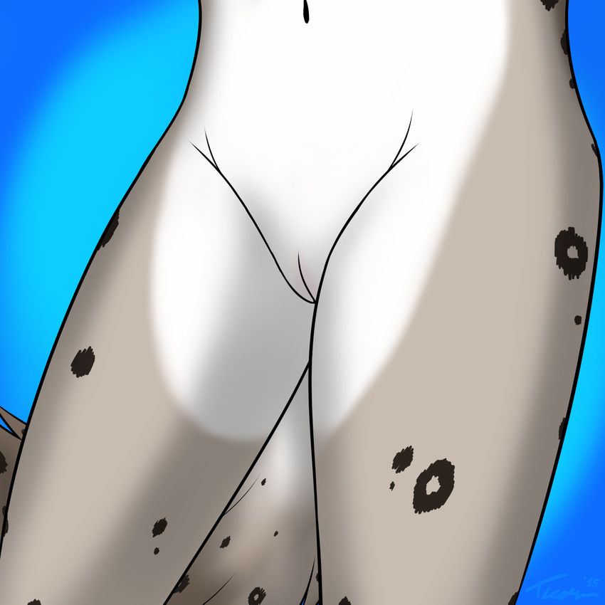 anthro blue_background bottomless canine feline female fur grey_fur hybrid kathrin_(twokinds) keidran leopard mammal nude plain_background pussy snow_leopard solo spots ticoun twokinds white_fur