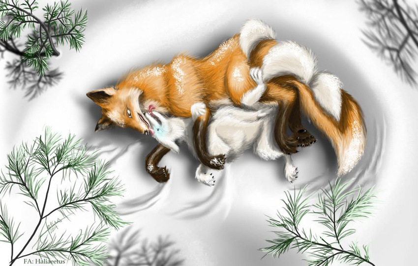ambiguous_gender arctic canine cold cristal cuddling dunx duo feral fox haliaeetus happy love mammal mates snow
