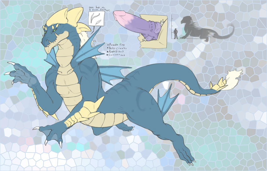 2013 animal_genitalia aquatic_dragon blue_scales claws cream_belly cream_scales dragon erection feral fin forgottenscales genital_slit green_eyes hi_res knot kyzen_(chapu) male model_sheet penis scalie sharp_teeth slit slit_pupils solo teeth two_tone_penis vein webbed_hands yellow_scales