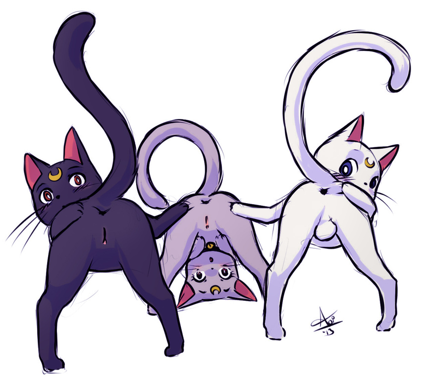 a_cat_is_fine_too anus aogami artemis_(sailor_moon) balls butt cat cute diana_(sailor_moon) feline female feral group luna_(sailor_moon) male mammal presenting presenting_hindquarters pussy sailor_moon spreading take_your_pick