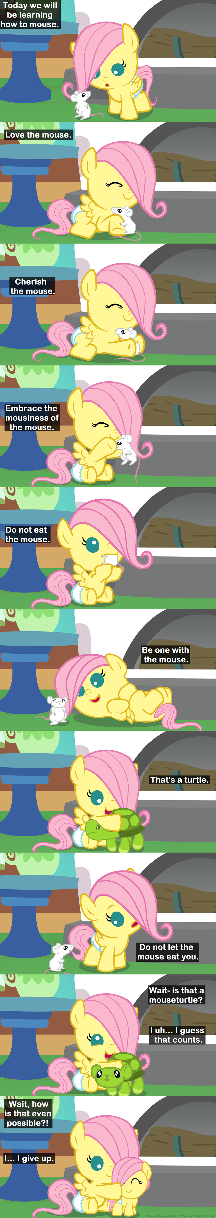 2015 beavernator comic cute english_text equine female feral fluttershy_(mlp) friendship_is_magic horse hybrid mammal mouse my_little_pony pegasus reptile rodent scalie square_crossover text turtle wings young