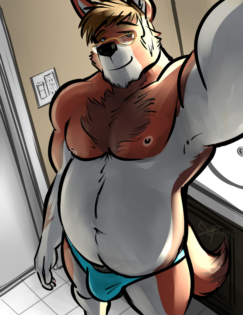 2014 anthro bgn blue_eyes briefs bulge canine chub clothed clothing eyewear fur glasses hair half-dressed looking_at_viewer male mammal muscles nipples overweight pecs selfie smile solo standing timet topless underwear wolf
