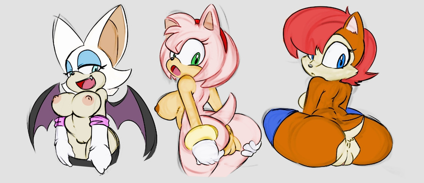 amy_rose angelbreed anthro anus bat big_breasts breasts chipmunk clothing female group happy hedgehog looking_back mammal nude open_mouth presenting pussy rodent rouge_the_bat sally_acorn sega smile sonic_(series) wings