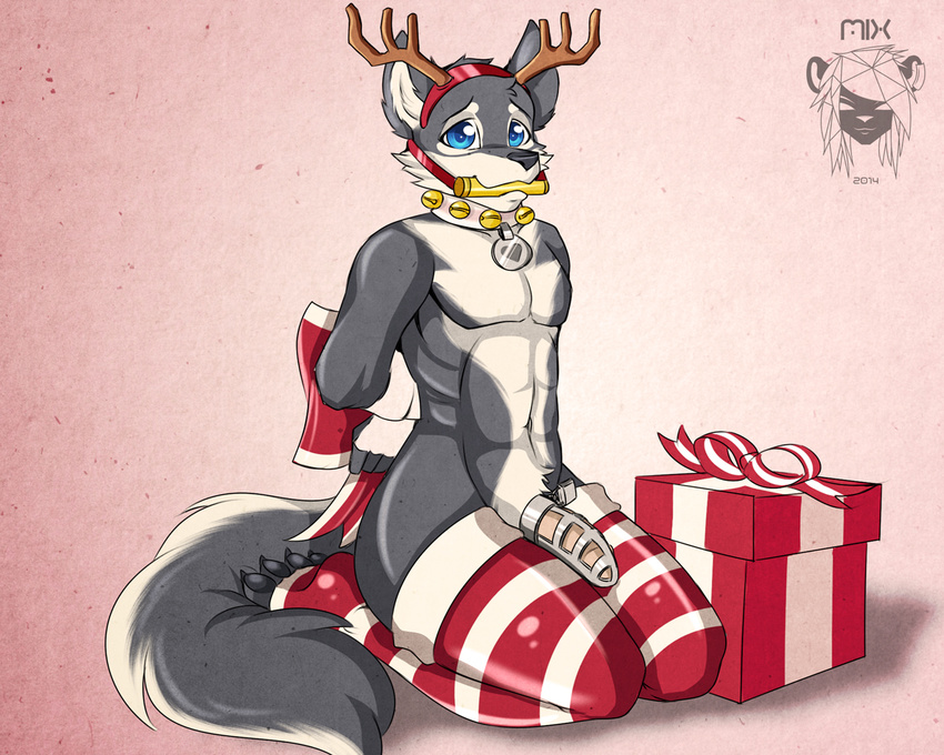 &lt;3 2014 anthro antlers bdsm bell blue_eyes bondage bound bow canine chastity chastity_cage christmas collar digital_media_(artwork) fake_antlers fur gag gift girly grey_fur hairband holidays horn keeper kneeling legwear llmixll looking_at_viewer male mammal nude penis red_footwear red_legwear solo striped_footwear striped_legwear thigh_socks toeless_socks white_footwear white_legwear wolf