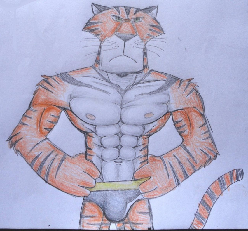 abs anthro anthrofied bodybuilder bulge character_from_animated_feature_film clothed clothing dreamworks feline flexing fur half-dressed madagascar male mammal muscles nekosuke nipples pecs pose solo tiger topless vitaly_the_tiger