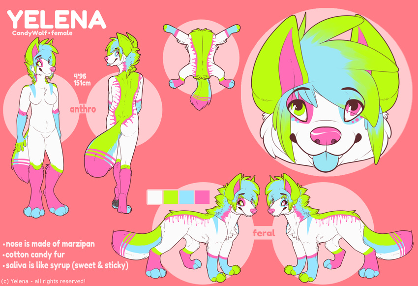 anthro candywolf canine cute female feral looking_at_viewer mammal model_sheet senimasan tongue tongue_out wolf yelena