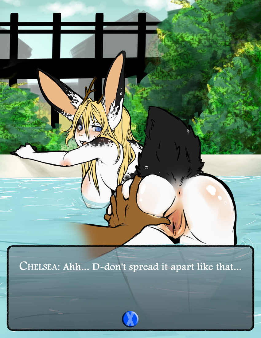 antlers anus blonde_hair breasts butt butt_grab chelsea_myriad dialogue disembodied_hand duo english_text female hair hand_on_butt hi_res horn jackalope lagomorph looking_at_viewer mammal nipples pool presenting presenting_hindquarters pussy rabbit solo_focus spread_pussy spreading text tylowell water