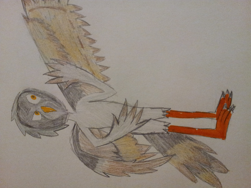 ambiguous_gender anthro avian bad_art bird feathers nightmare_fuel owl plain_background scribble soul_stealing_eyes what what_has_science_done white_background white_eyes why wings