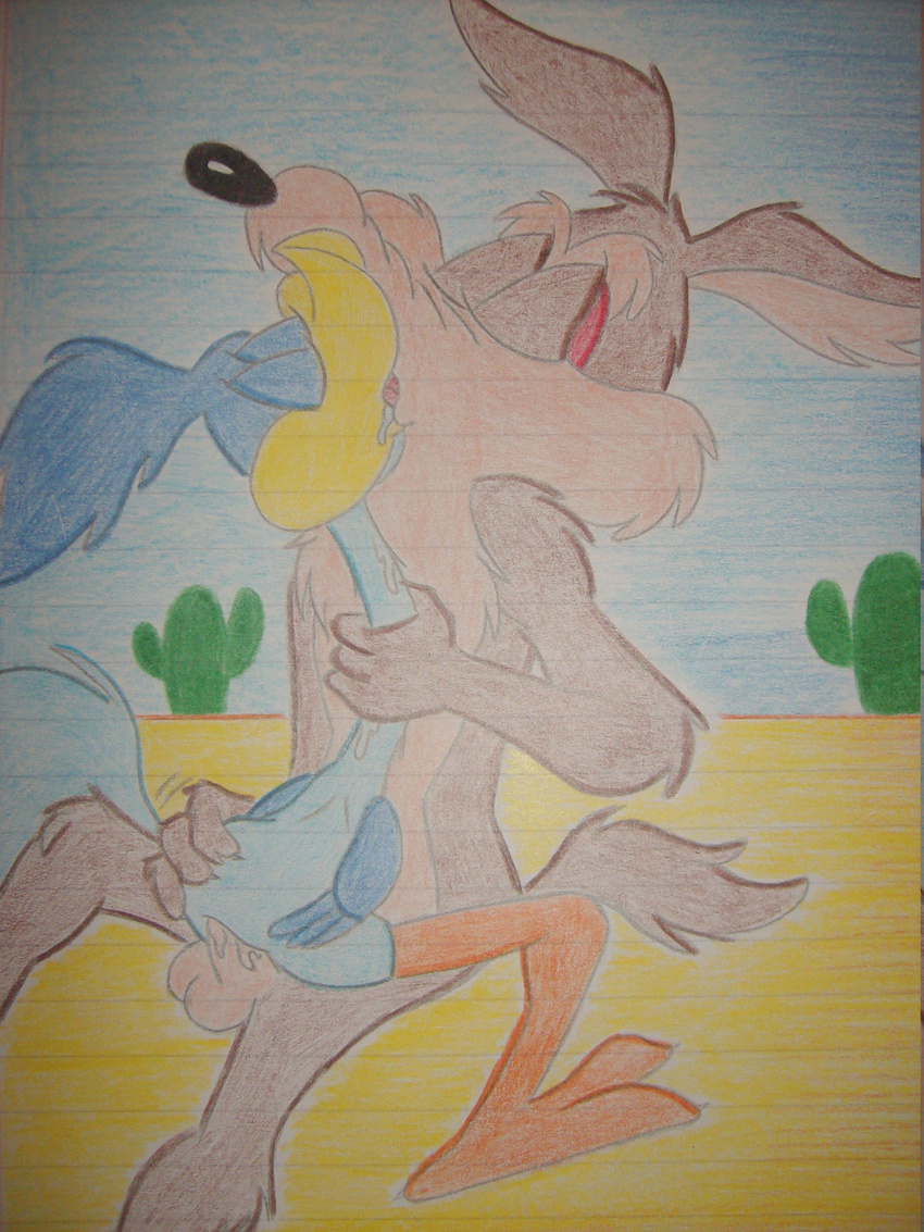 anal anal_penetration anthro avian balls big_dom_small_sub bird cactus canine cum cum_in_ass cum_inside desert duo eyes_closed gay jazmin22lg kissing looney_tunes male mammal penetration penis roadrunner sex size_difference traditional_media_(artwork) warner_brothers wile_e._coyote