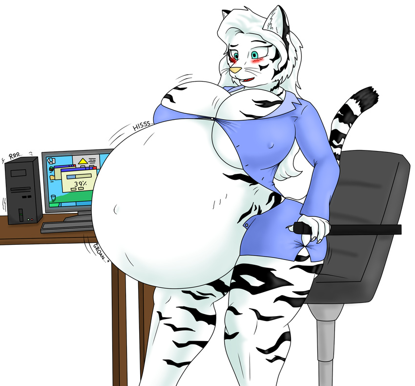 anthro belly big_belly big_breasts blue_eyes blush breasts cleavage clothed clothing day-tipper-guy english_text feline female fur hair huge_breasts hyper hyper_belly inflation long_hair mammal navel skimpy solo text tiger torn_clothing under_boob whiskers white_fur white_hair