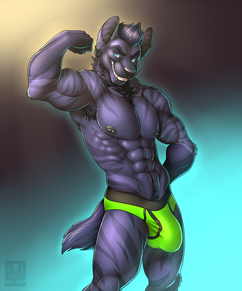 abs anthro armpit_hair biceps black_hair black_nipples black_nose blue_eyes body_hair bodybuilder briefs bulge canine chest_tuft clothed clothing cyan_eyes fangs flexing front_view fur gloves_(marking) gradient_background grey_fur grin hair half-dressed happy_trail hyena lip_ring looking_at_viewer male mammal markings muscles nipple_piercing nipples pecs piercing pose pubes purple_fur purple_hair smile snakebites solo standing stripes teeth toned topless tuft underwear vallhund