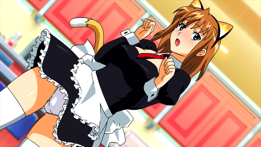 aika_(series) aika_zero animal_ears apron ass_visible_through_thighs bangs black_dress black_hairband blue_eyes blurry blush breasts brown_hair cat_ears cat_tail cropped_legs crotch_seam depth_of_field detached_collar dress dutch_angle eyebrows_visible_through_hair fake_animal_ears fake_tail fang frilled_apron frilled_dress frills hairband highres indoors juliet_sleeves long_sleeves maid medium_breasts necktie non-web_source open_mouth panties pantyshot pantyshot_(standing) paw_pose puffy_sleeves red_neckwear screencap short_hair solo standing sumeragi_aika tail thighhighs underwear waitress wallpaper white_apron white_legwear white_panties wind wind_lift wrist_cuffs