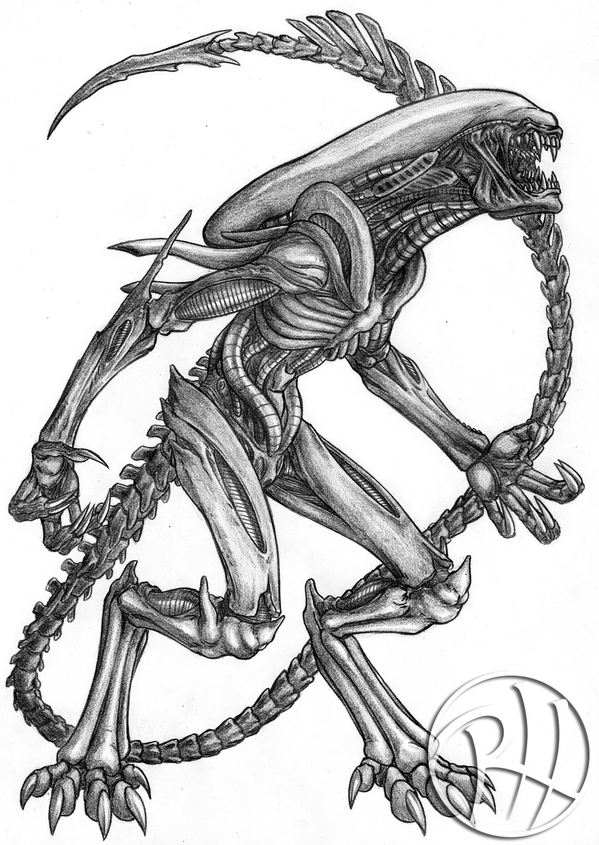 alien alien_(franchise) ambiguous_gender claws monochrome open_mouth predaguy solo teeth xenomorph