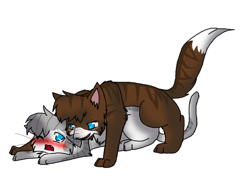 blue_eyes blush brown_fur cat couple duo eyes_closed feline female feral fur hawkfrost_(warriors) ivypool_(warriors) male mammal one_eye_closed open_mouth plain_background raised_tail sex smile teeth warriors_(cats) white_fur wink