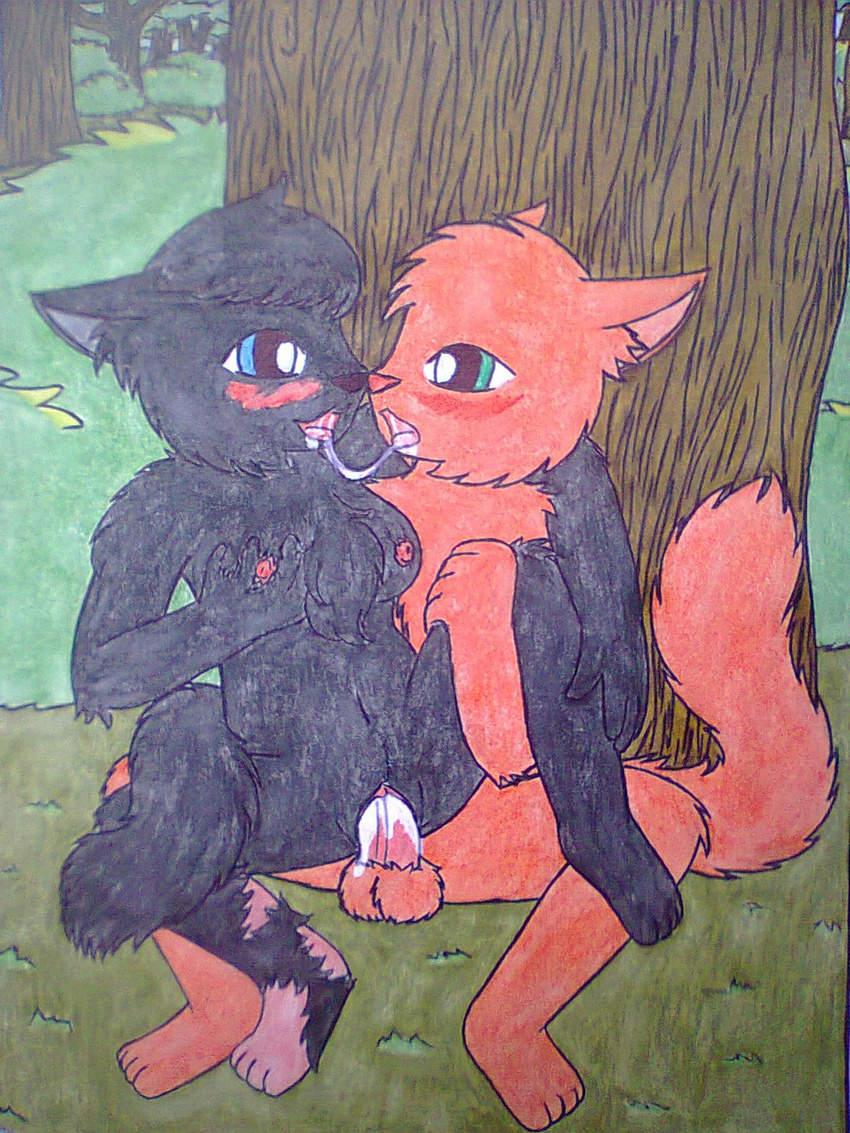 anthro black_fur blush cat cinderpelt_(warriors) duo feline female feral feral_on_feral firestar_(warriors) fluffy_tail fur male mammal orange_fur penetration sex thunderclan warriors_(cats)