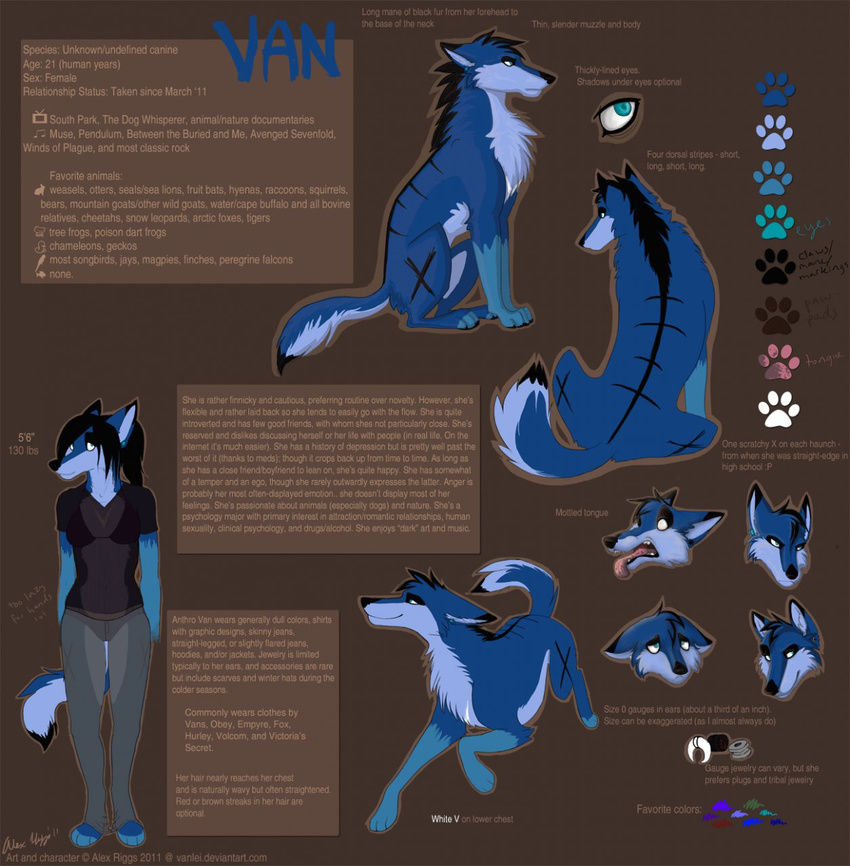 2011 anthro black_fur blue_eyes blue_fur bra canine clothing ear_piercing emotions female fur hair looking_up mammal markings model_sheet multiple_poses panties pawpads paws piercing saruki sitting smile solo teeth tongue tongue_out translucent underwear van_(saruki) wolf