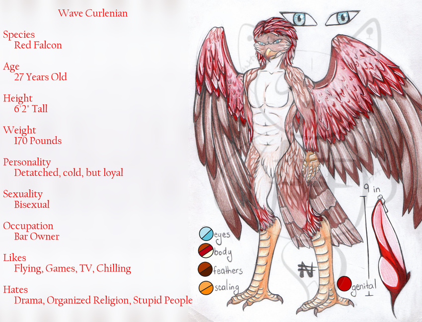 anthro avian bird claws erection falcon javelin_nightpaw look_at_viewer male model_sheet nekromantiafox penis precum sakuri_rainne smirk solo wave_curlenian wings