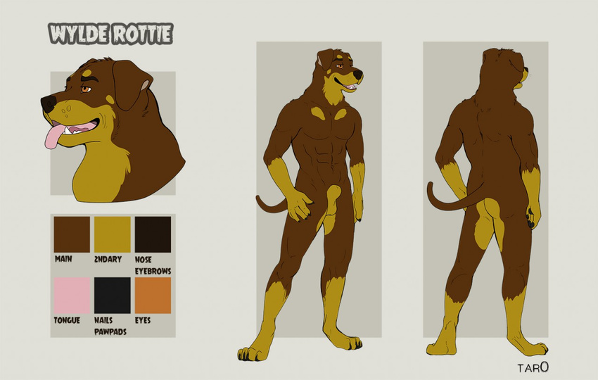 2014 abs anthro balls brown_fur canine claws dog fur male mammal model_sheet muscles nude rottweiler sheath smile solo tar0 tongue tongue_out wylde_rottie wylderottie