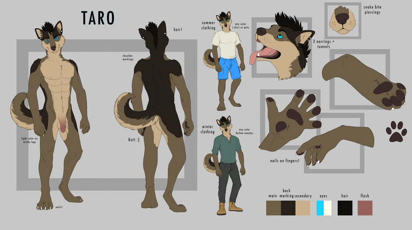 2014 anthro balls blue_eyes boots brown_fur canine clothing dog fur hair hybrid male mammal model_sheet multiple_poses nude pawpads paws penis pose solo tar0 tongue wolf