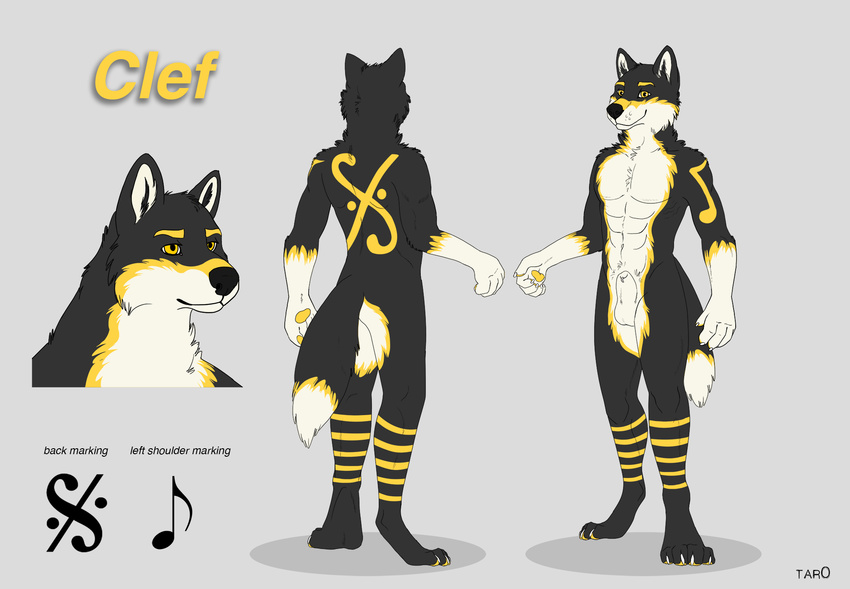 2014 anthro balls black_fur canine claws clef clefwolf fur looking_at_viewer male mammal markings model_sheet music_notes nude pawpads paws sheath smile solo symbols tar0 white_fur wolf yellow_eyes yellow_fur