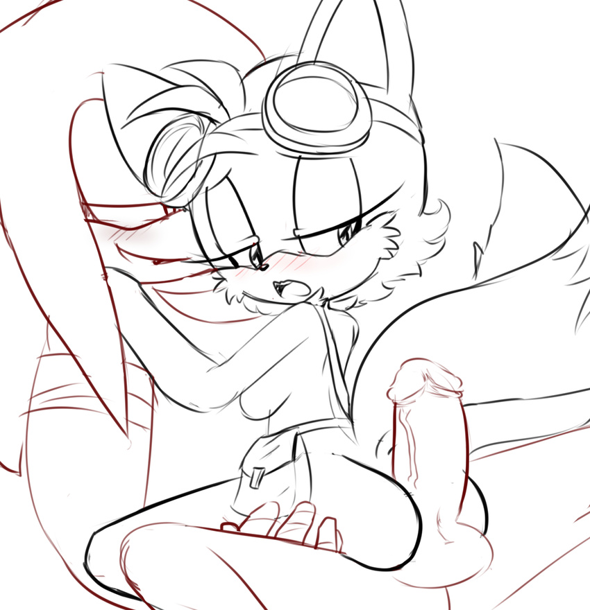 anthro crossgender duo eyewear female goggles hearlesssoul hot_dogging knuckles_the_echidna male miles_prower sega sonic_(series) sonic_boom