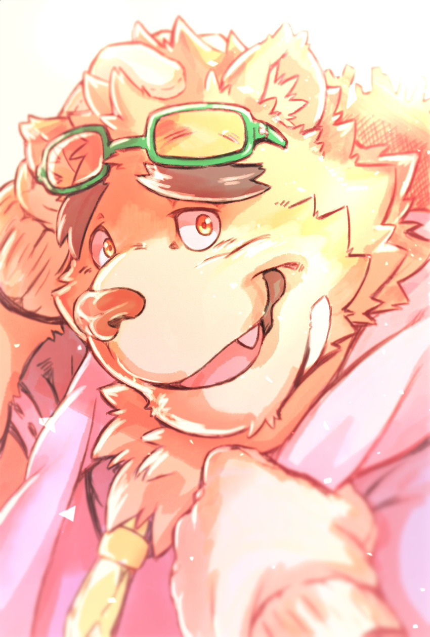 2019 anthro brown_fur clothing cute_fangs eyewear fur glasses gloves heylaw21 humanoid_hands male mammal solo tokyo_afterschool_summoners ursid video_games volos