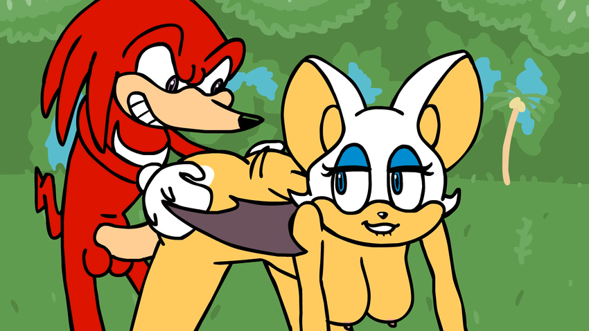 animated bat breasts echidna from_behind keith2002 knuckles_the_echidna mammal monotreme penis rouge_the_bat sega sex sonic_(series) vaginal