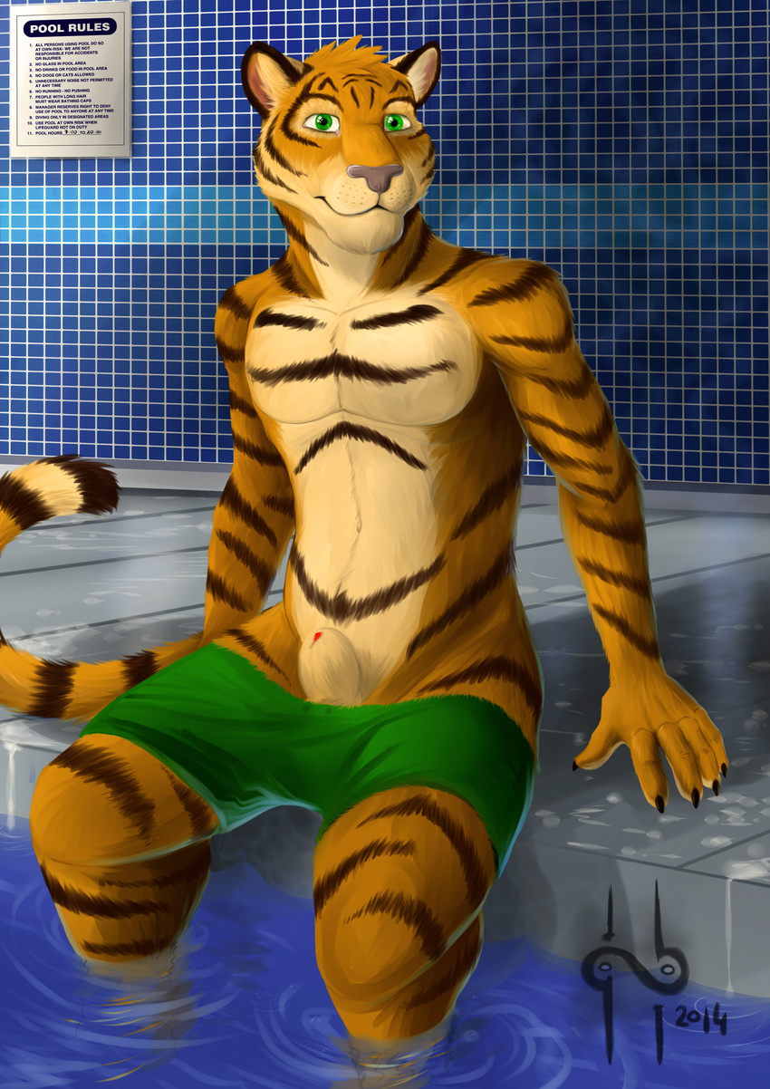 2014 absurd_res anthro clothing feline green_eyes hi_res hufnaar looking_at_viewer male mammal partially_submerged penis penis_tip sheath shorts shorts_down sitting smile solo swimming_pool swimsuit tiger ulbrek water