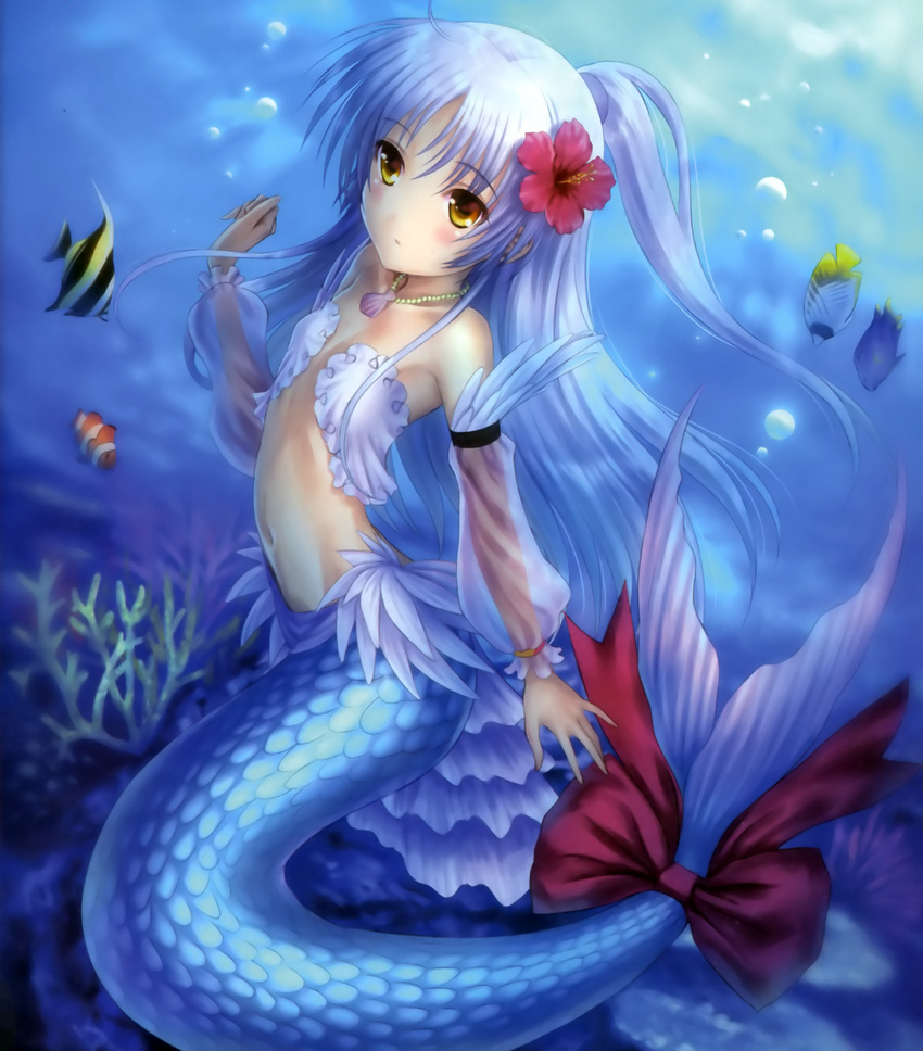 absurdres angel_beats! bow detached_sleeves fish flower goto_p hair_flower hair_ornament hibiscus highres jewelry long_hair mermaid monster_girl monsterification multiple_girls necklace ribbon shell side_ponytail silver_hair tail tail_bow tail_ribbon tenshi_(angel_beats!) underwater yellow_eyes