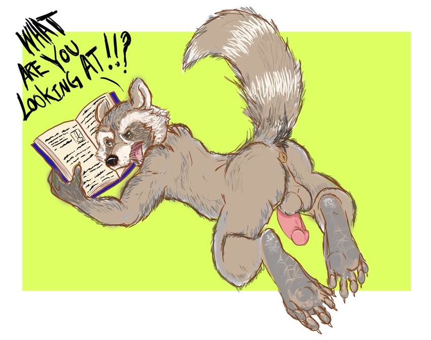 2015 angry anus balls book celestial guardians_of_the_galaxy looking_back lying male mammal nude on_front penis raccoon raised_tail reading rocket_raccoon solo