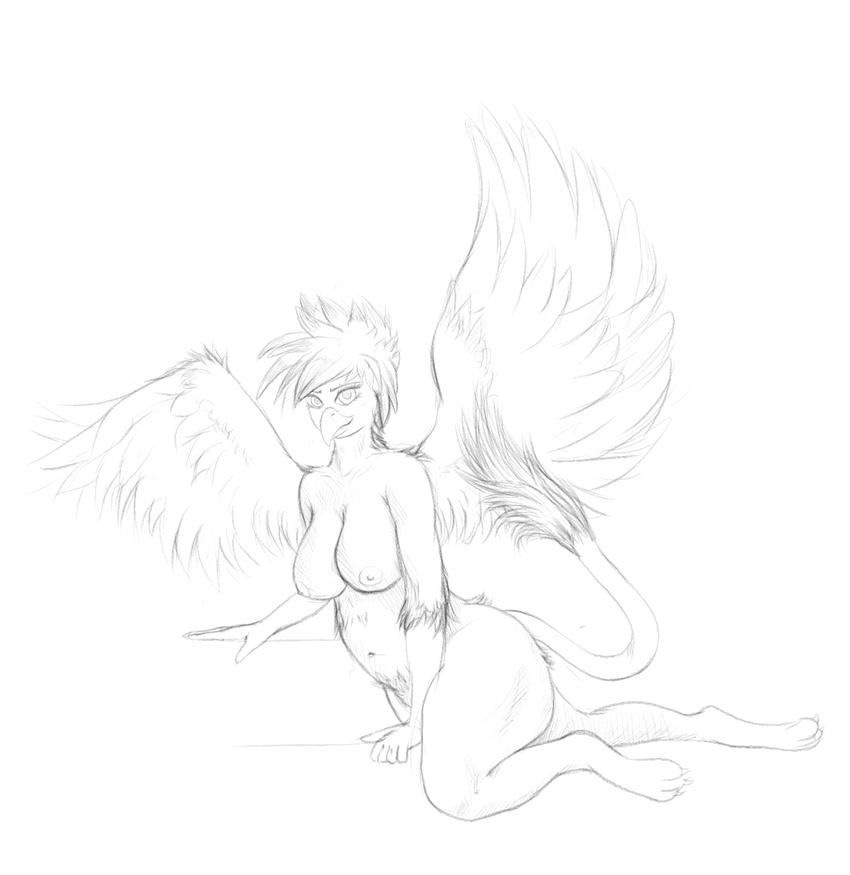 anthro avian breasts butt chubby eraclea feathers female gryphon wings