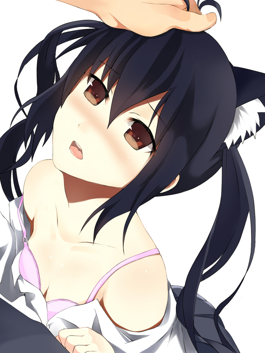 animal_ears black_hair blush bra brown_hair cat_ears downblouse highres k-on! lingerie long_hair nakano_azusa petting pov solo_focus twintails underwear yamamoto_tama