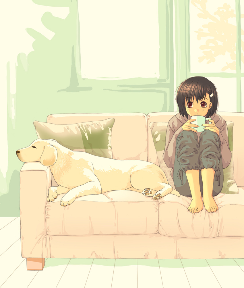 barefoot couch cup dog drinking feet hair_ornament hairclip highres pillow red_eyes sitting sofa window